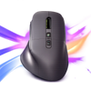 Ergonomic Vertical Wireless Mouse