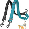 Dual Dog Leash with Shock-Absorbing Bungee