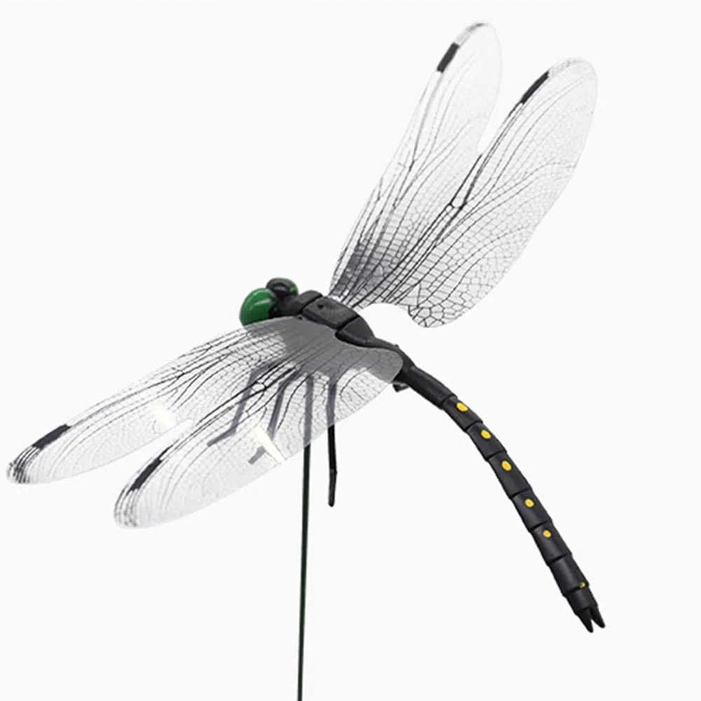 Realistic Dragonfly Clips for Decoration