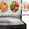 Large Insulated Pizza Delivery Bag with Removable Base