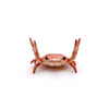 Funny Crab Desktop Pen Holder