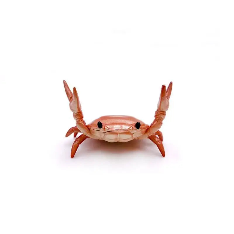 Funny Crab Desktop Pen Holder