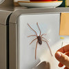 A realistic brown spider magnet is being placed onto a white refrigerator surface.
