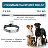 Collar de Entrenamiento para Perros con Control Remoto Recargable y Diseño Impermeable