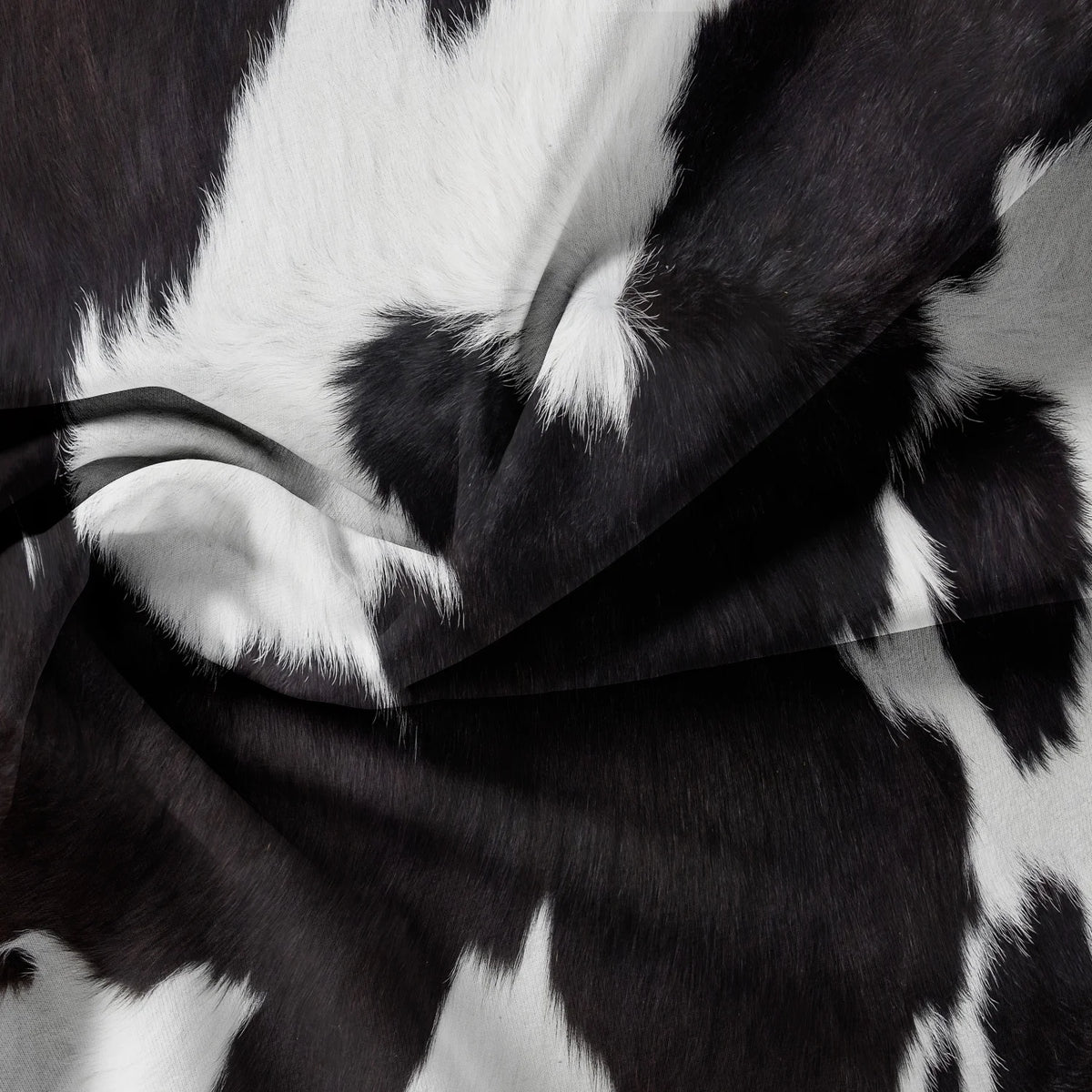 A close-up of a black and white cow print fabric draped in soft folds.
