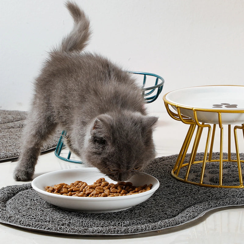Elevated Ceramic Pet Bowl with Non-Slip Stand