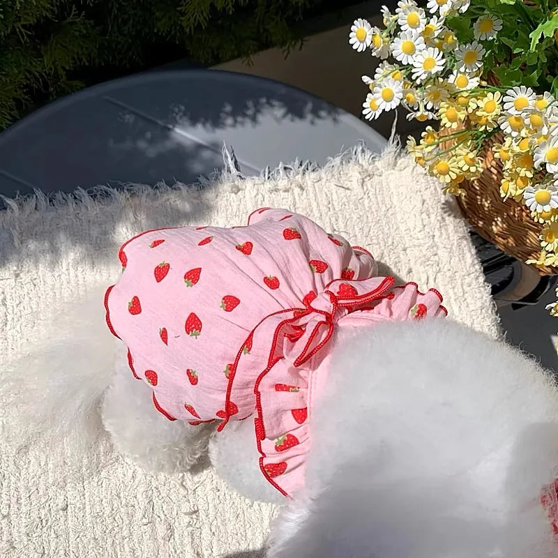 Strawberry Print Dog Dress