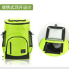 33L Insulated Cooler Backpack for Beach, Travel & Picnic