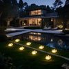 Four solar dog paw pathway lights illuminate a grassy lawn leading toward a modern house and reflecting in a water feature.