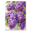 A vibrant purple hydrangea flower cluster with green leaves used as a diamond painting art background.