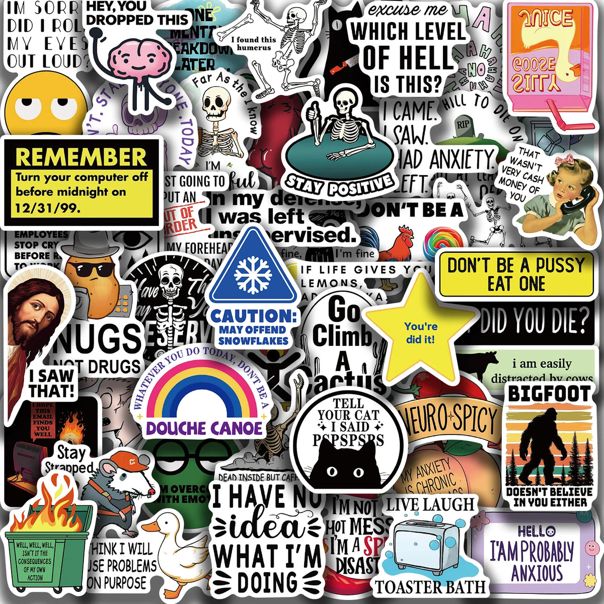 Snarky Meme Sticker Pack – Fun Vinyl Decals for Laptops, Water Bottles & More