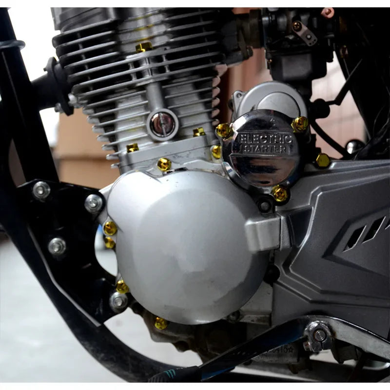 Close-up of a motorcycle engine component showing various silver and gold decorative bolt caps and hardware.