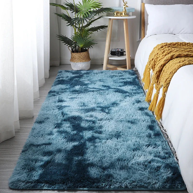 Plush Shaggy Area Rug for Living Room & Bedroom