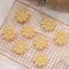 A set of floral cookie cutters in peach, cherry blossom, and sunflower designs arranged on a wire rack.