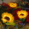 Lumière de Jardin en Soleil Levant LED à Énergie Solaire