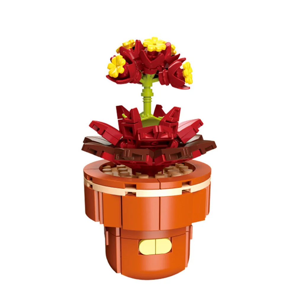 DIY Succulent Plant Building Block Bouquet