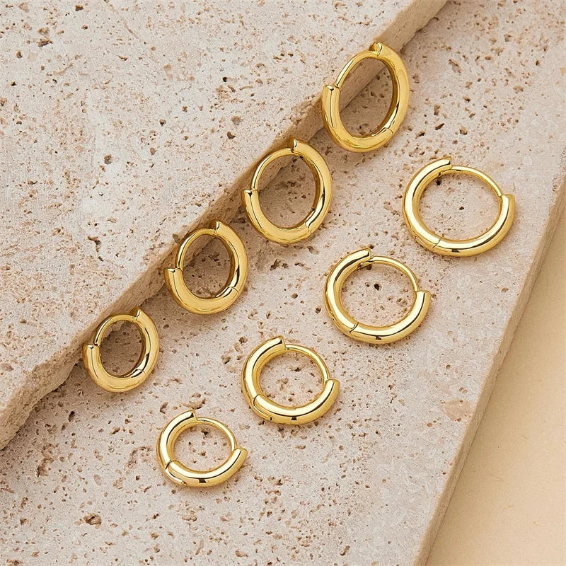 Classic Stainless Steel Hoop Earrings