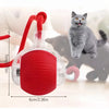 Automatic Interactive Pet Rolling Ball Toy