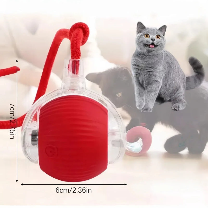 Automatic Interactive Pet Rolling Ball Toy