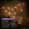 Willow-Reben-Lichter mit Schmetterlings-Akzenten