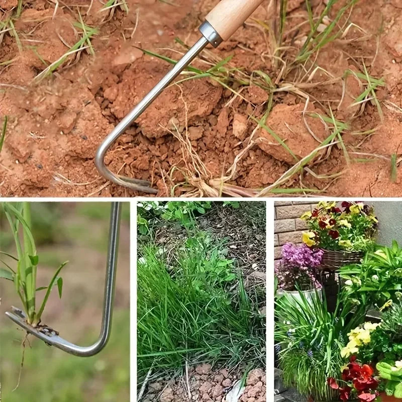 Stainless steel garden weeder with a wooden handle shown in soil and alongside plants.