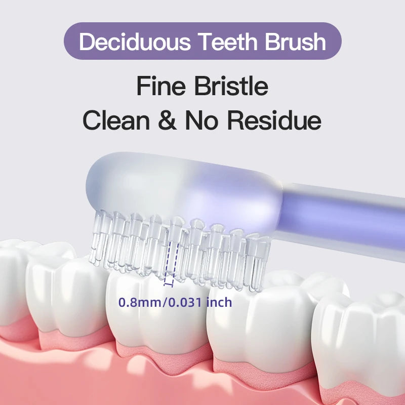 A fine bristle Deciduous Tooth Brush is shown cleaning teeth on a model set of white teeth.