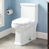 A white ceramic toilet with hand-painted frog bolt covers mounted on the wall.
