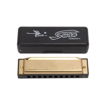 A black harmonica case and a brass harmonica in the C key.