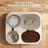 Automatic Cat Food and Water Dispenser