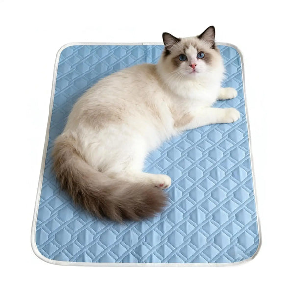 Tapis Rafraîchissant pour Chiens et Chats
