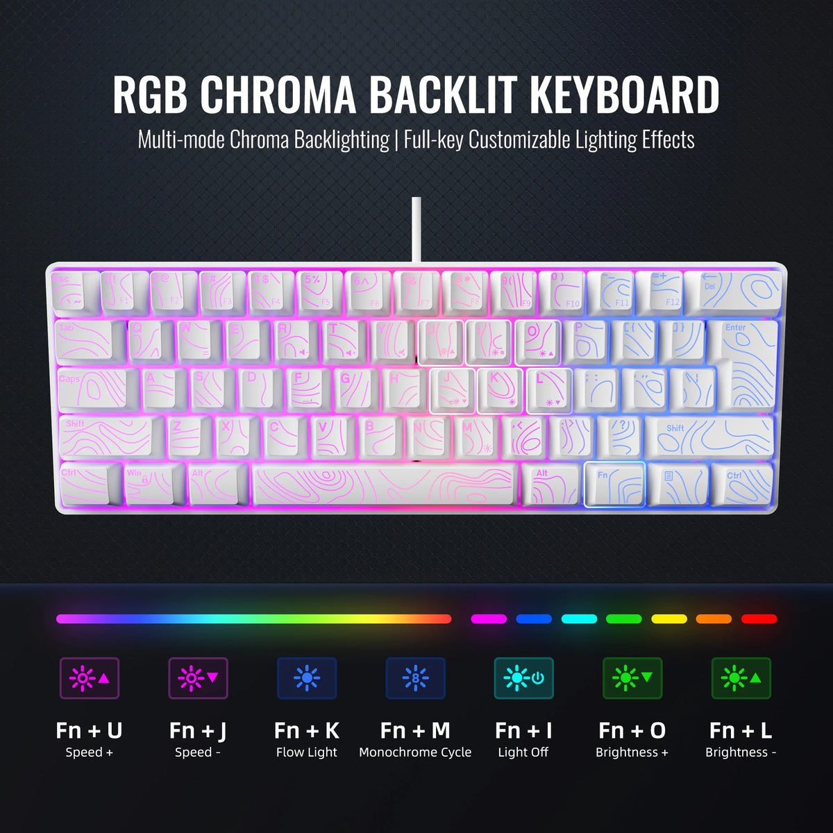Nahaufnahme einer RGB Chroma-beleuchteten Tastatur mit verschiedenen Beleuchtungs- und Tastenlayouts.