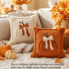 Set of 2 Autumn Pumpkin Throw Pillow Covers with 3D Jacquard Design