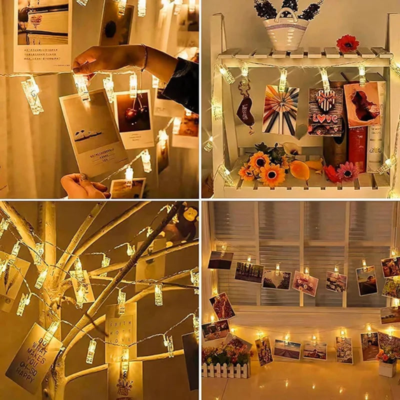 String lights with photo clips illuminating various framed pictures and floral arrangements.