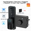 Smart Palm & Face Recognition Door Lock with WiFi App Control