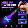 A hand holds a mini UV flashlight illuminating a green scorpion on a dark surface.