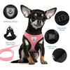 Escape-Proof Mesh Cat Harness with Reflective Vest