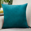 Velvet Throw Pillow Cover for Sofa and Bed Decor