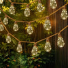 String lights with clear glass bulbs are draped across green foliage.