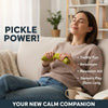 Jumbo Pickle Squishy Stress Relief Toy