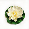 A white lotus flower with yellow center rests on a green leaf, used for pond and garden decor.