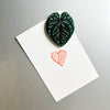 Acrylic Leaf Magnets Set - Fridge Decor