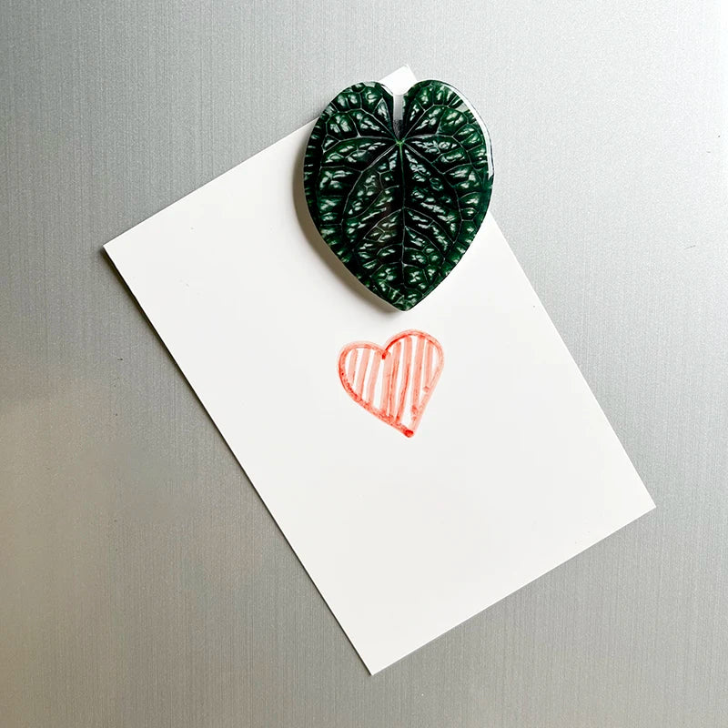 Acrylic Leaf Magnets Set - Fridge Decor