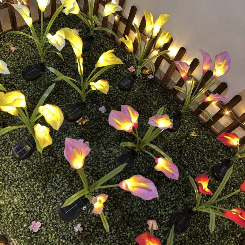 Yellow and pink calla lily plants illuminated by solar-powered LED garden lights