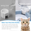 2-in-1 Pet Food and Water Bowl with Automatic Water Dispenser