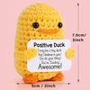Handmade Crochet Pocket Hug Doll with Custom Message