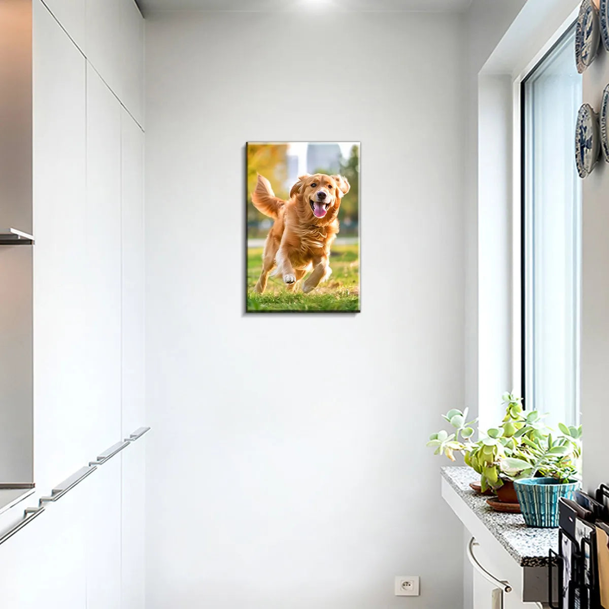 Gerahmtes Foto eines Golden Retrievers, der auf einer weißen Wand in einem grasbewachsenen Feld rennt.