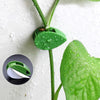Self-Adhesive Leaf-Shaped Plant Climbing Clips