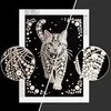 Diamond painting kit featuring a cat pattern with pearl accents on a white background.