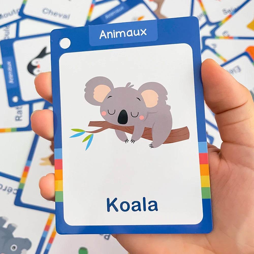 French Vocabulary Flashcards for Kids - Food, Animals, Fruits & Body Parts