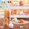 Bubu and Dudu Panda Blind Box Figure